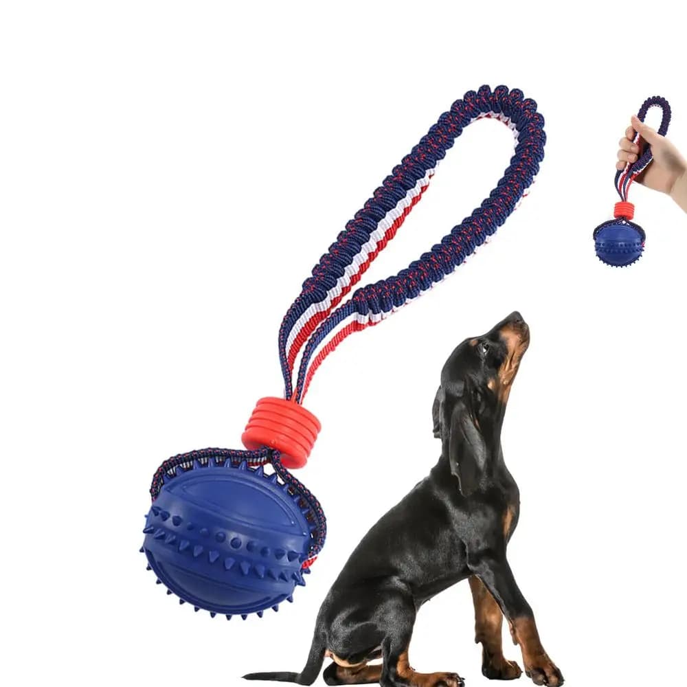 Interactive Rope & Chew Toy - alternate view