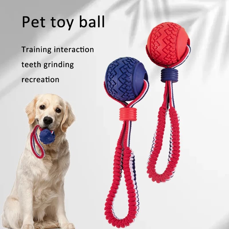 Interactive Rope & Chew Toy